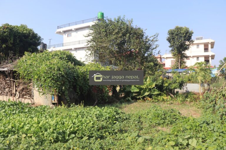 bachhauli ghar ghaderi bikri 768x512