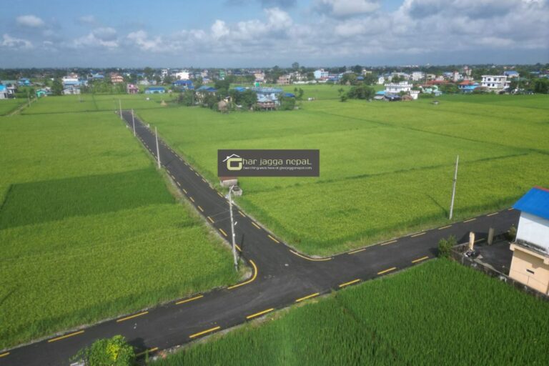 bharatpur chitwan chowkbazar ghaderi 768x512