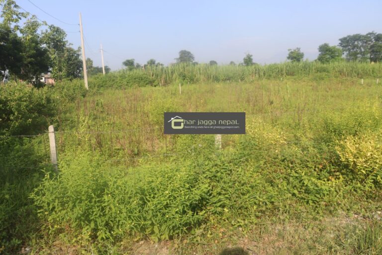 bharatpur chitwan sasto jagga 768x512