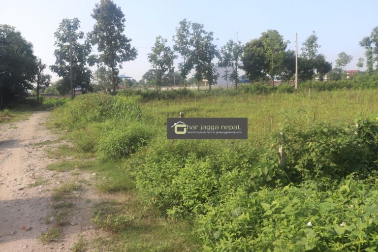 buy land chitwan sasto ghaderi 768x512