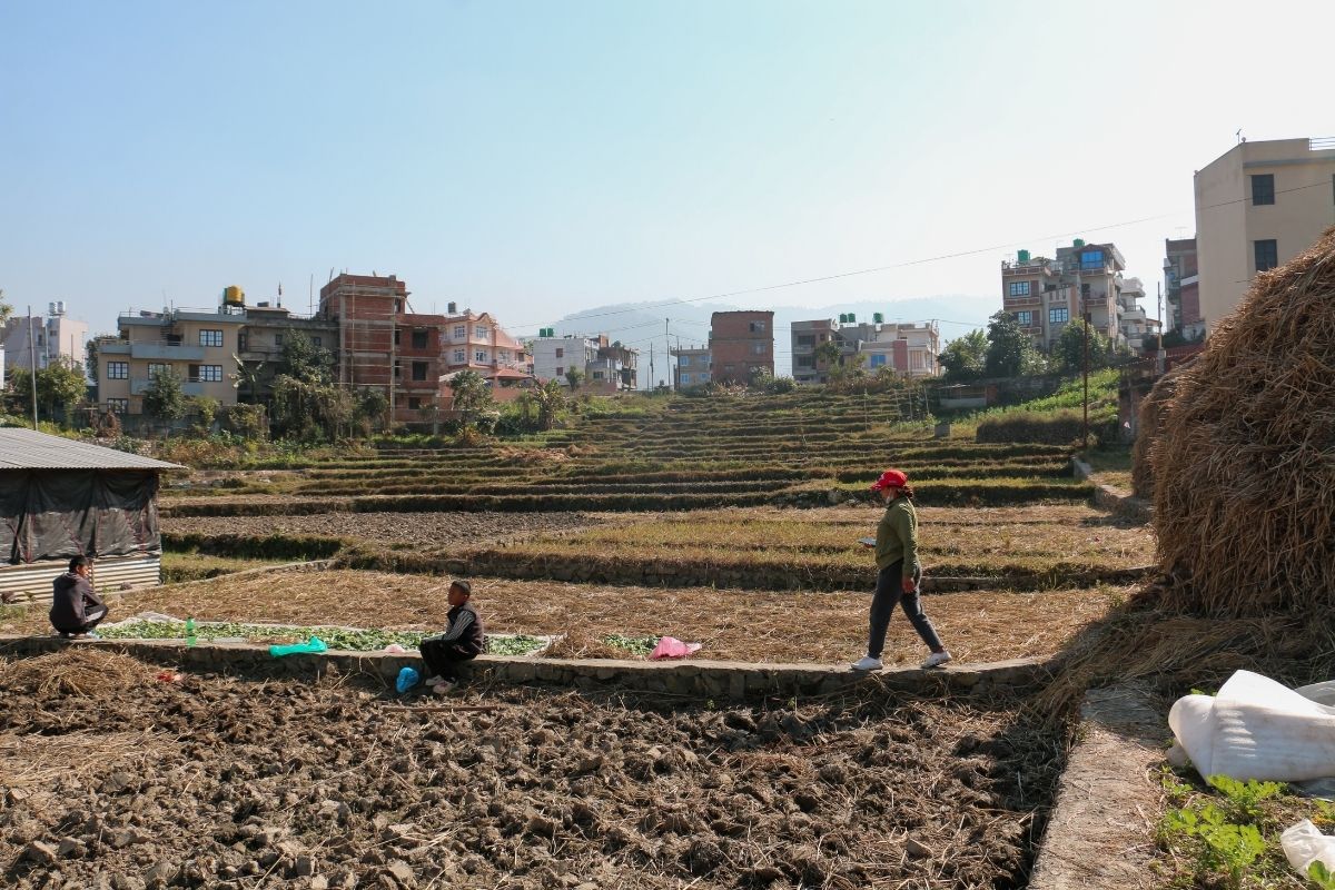 chasidole lubhu ghaderi lalitpur