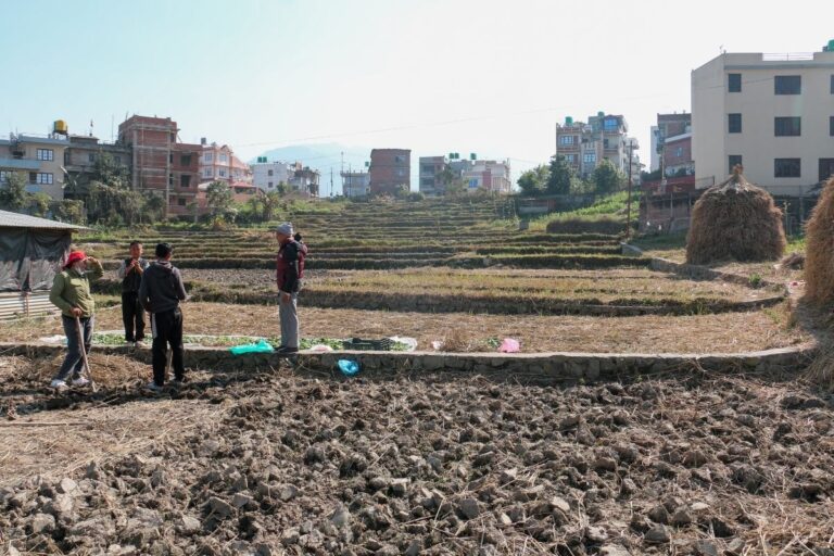 cheap land lubhu chasidol 768x512