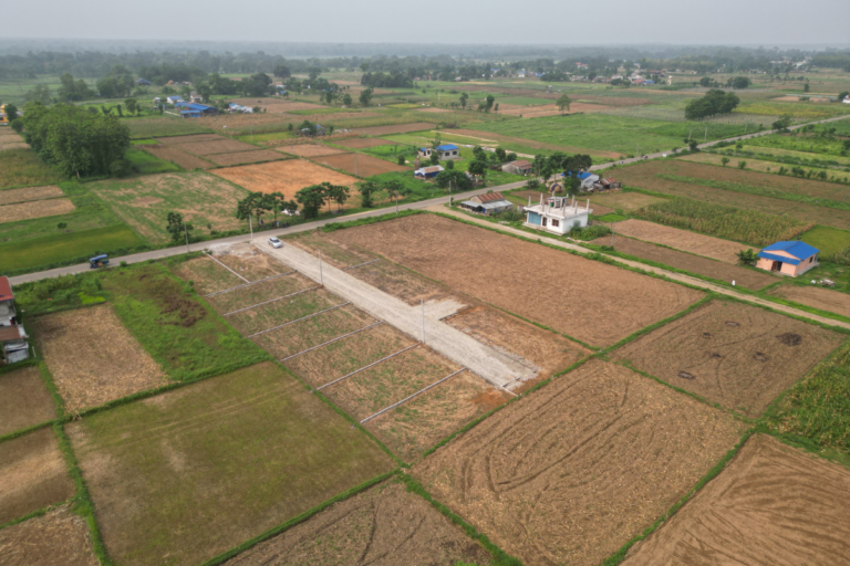 chitwan sasto ghaderi bharatpur 24 768x512