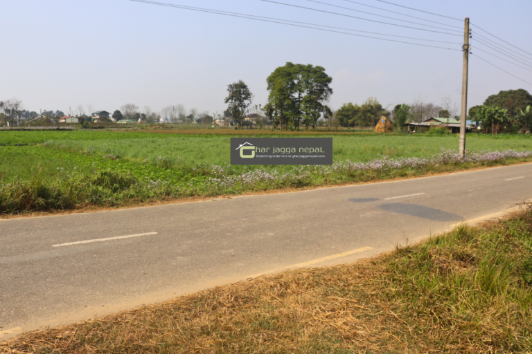 chitwan sasto ghaderi sharadanagar 768x512