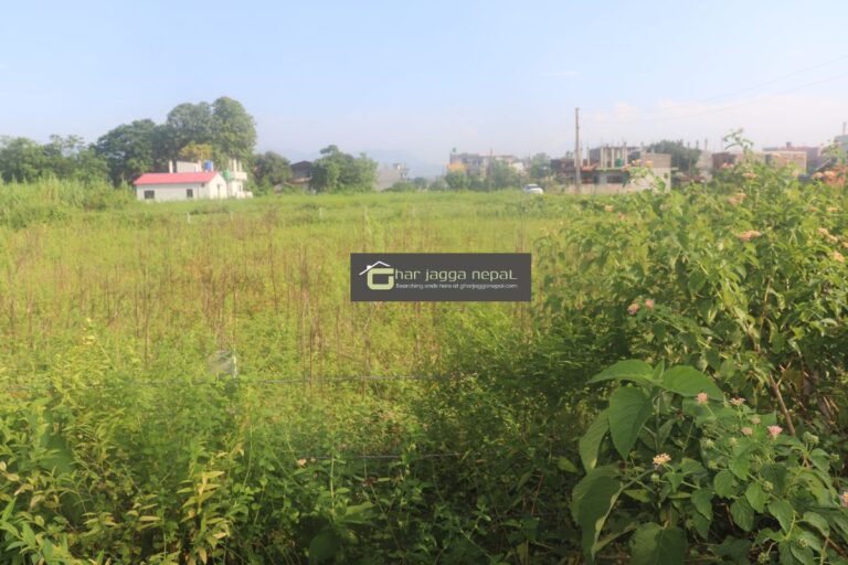 ghaderi bikri bharatpur 5 narayanpur 768x512