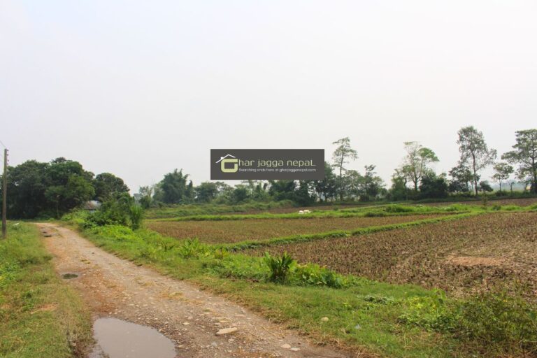 ghaderi bikri sultana chitwan 768x512