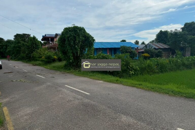ghar ghaderi bikram chowk jagatpur 768x512