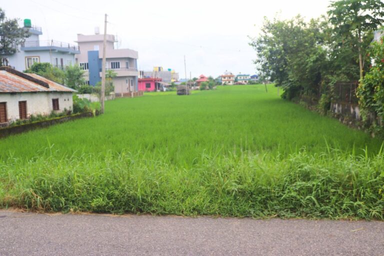 jagga bikri chitwan keshbag bharatpur 768x512