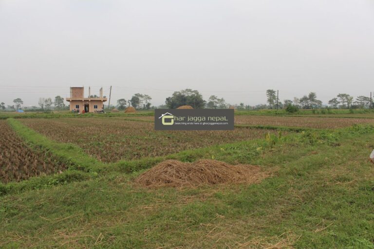 jagga bikri sultana chitwan khairahani 768x512