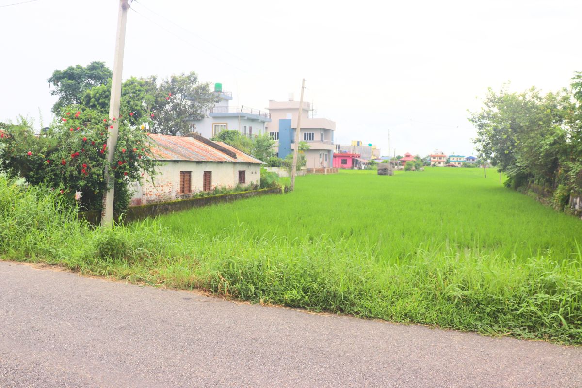 jagga sastoma chitwan kesharbag bharatpur
