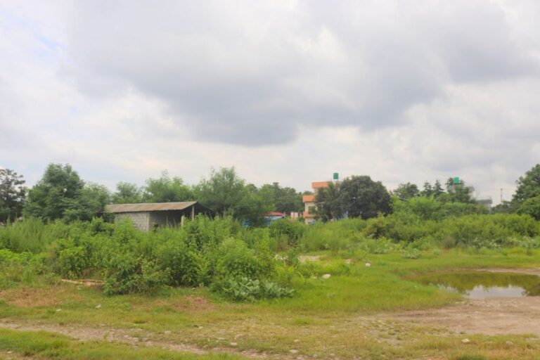 kalyanpur chitwan mainroad ghaderi 768x512