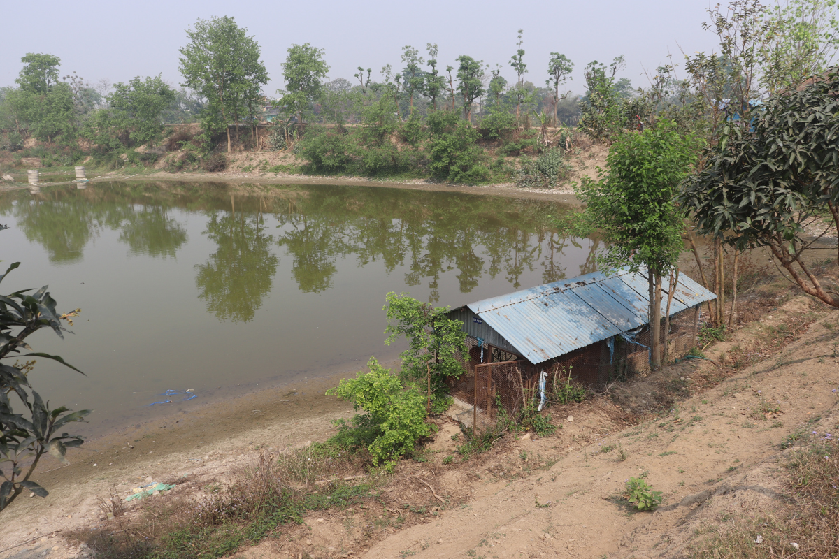 khairahani chitwan farm sale