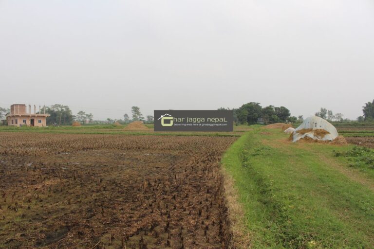 land for sale khairahani sultana 768x512