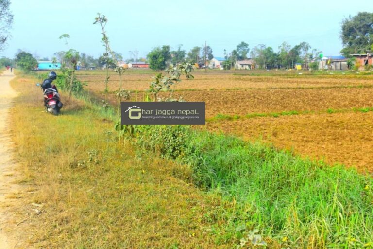land sale chitwan fulbari bharatpur 768x512