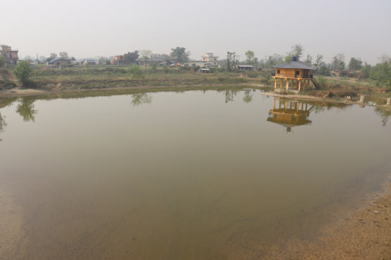 land sale chitwan khairahani pipara 768x512