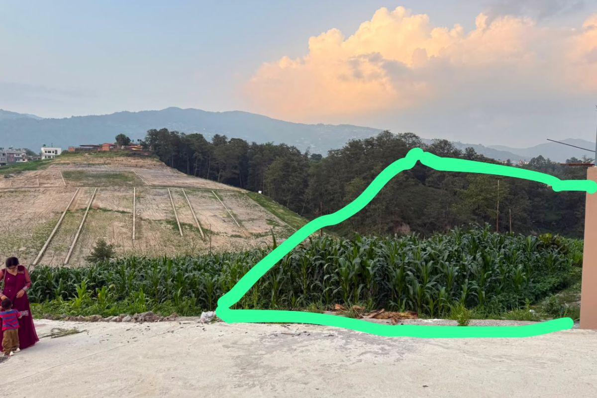 sasto ghaderi danchhi kathmandu