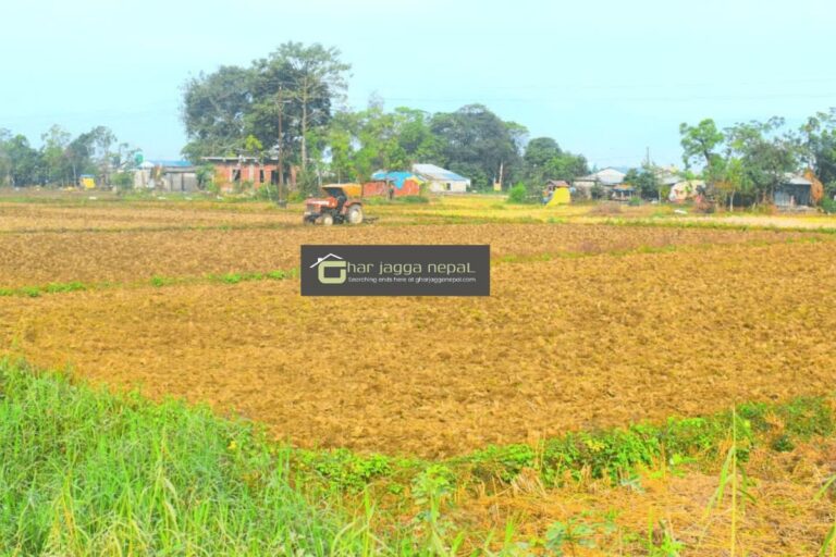 sasto jagga chitwan fulbari 768x512