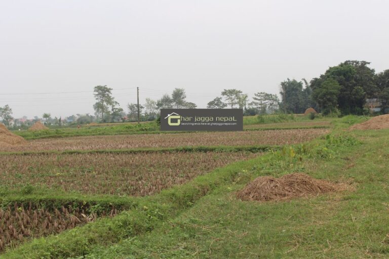 sasto jagga sultana chitwan 768x512
