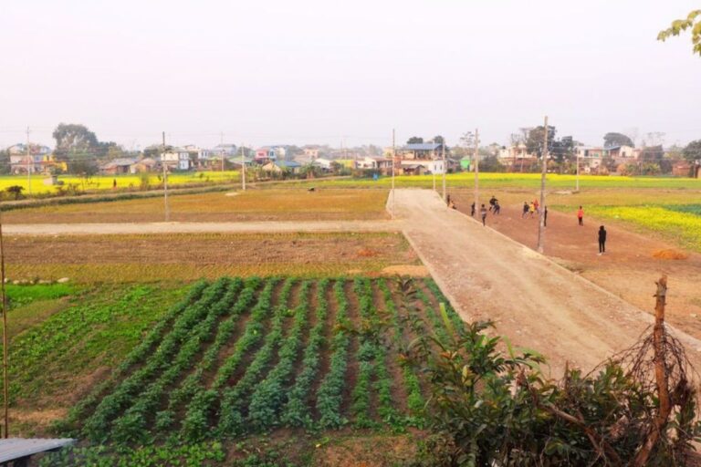 10dhur ghaderi chitwan gitanagar 768x512