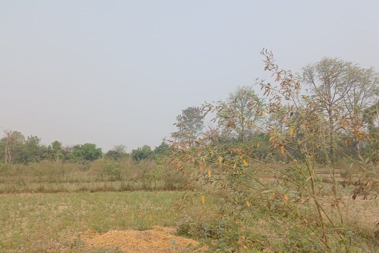 bardaghat cheap land sale 768x512