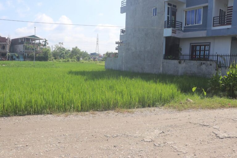baseni ghaderi chitwan bharatpur 768x512