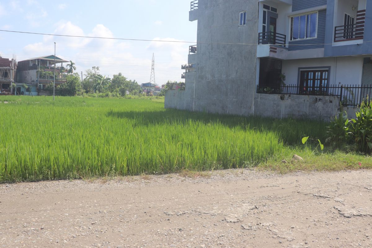 baseni ghaderi chitwan bharatpur