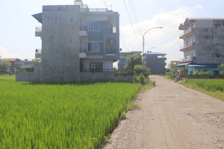 bharatpur basei ghaderi sale chitwan 768x512
