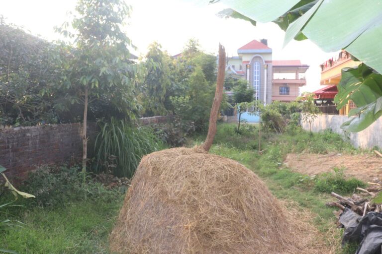 cheap ghaderi near pauwa hotel chitwan bharatpur 768x512