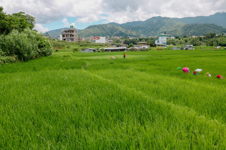 cheap land sale bhaktapur suryabinayak chitrapur 768x512