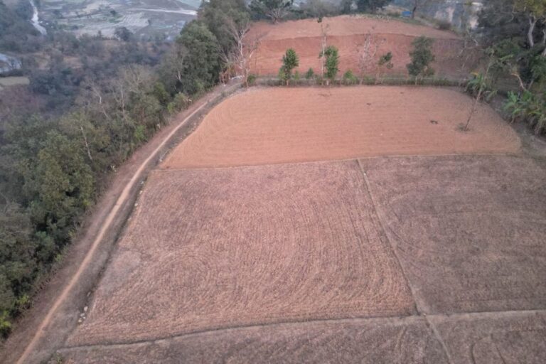 cheap land salyantar 768x512