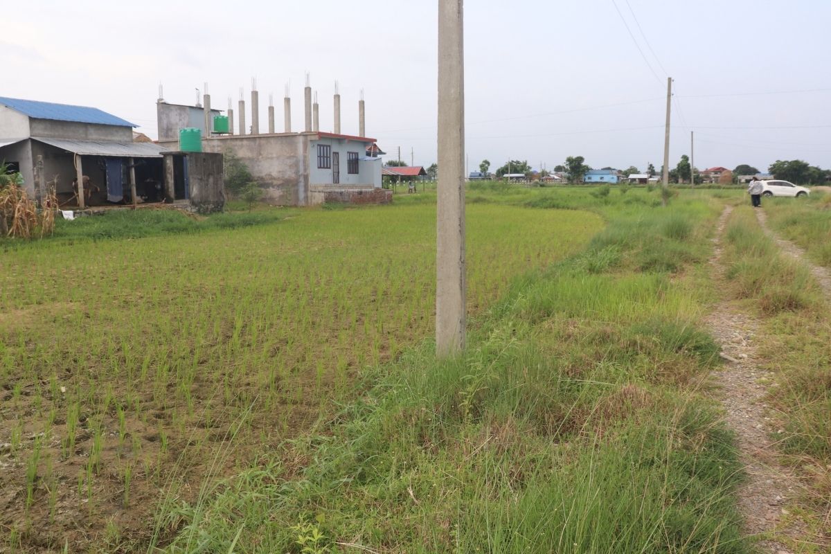 cheap price ghaderi chitwan dhanauji