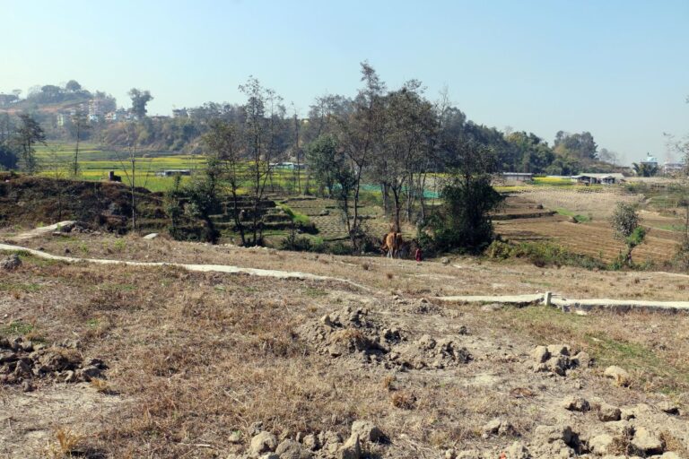cheap price ghaderi for sale bhaktapur 768x512