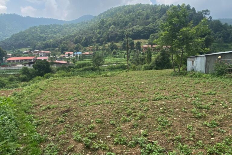 chitlang jagga bikri 768x512