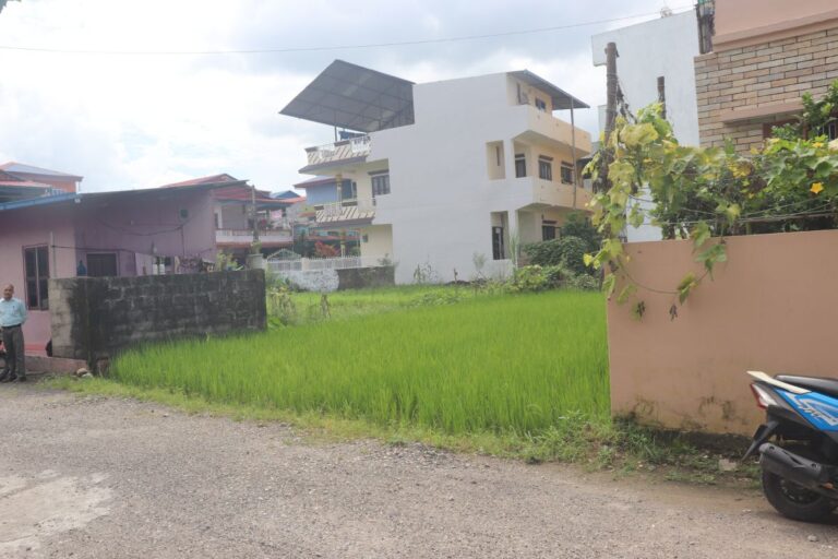 chitwan bharatpur jagriti tole 768x512