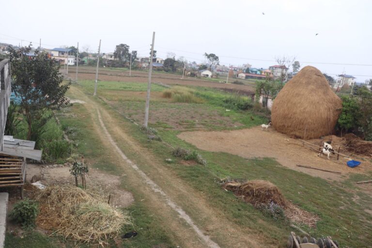 chitwan gitanagar sasto ghaderi 768x512