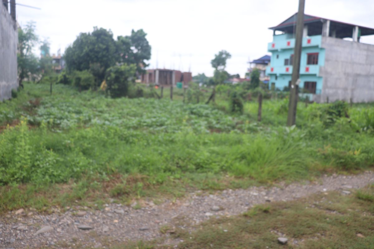 chitwan prembasti bharatpur ghaderi bikri