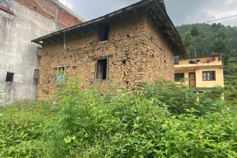 ghaderi bikri chitlang 768x512