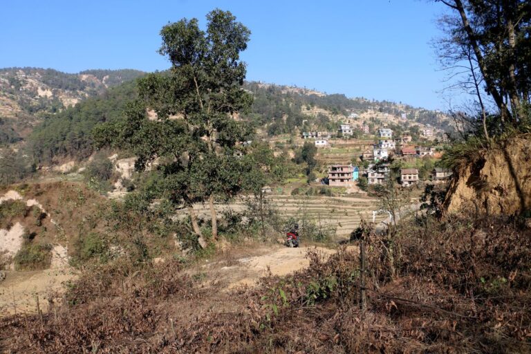 ghaderi bikri subbagaun basdol 768x512