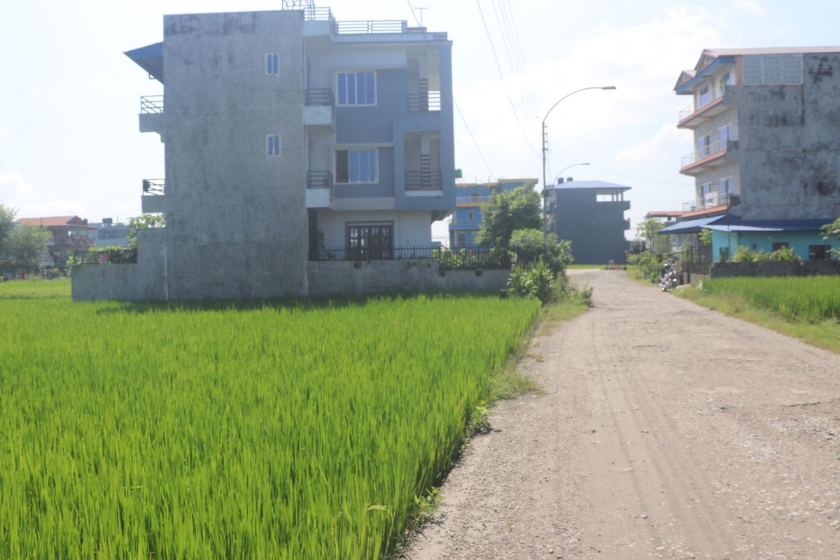 ghaderi near baseni chowk
