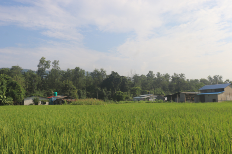 gyaneshwar tole sanogadhi chitwan 768x512
