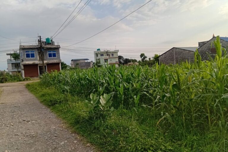 jagga bikri kawasoti 29bigha 768x512