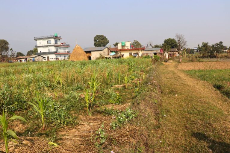 jagga bikri nawalpur chhipeni 768x512