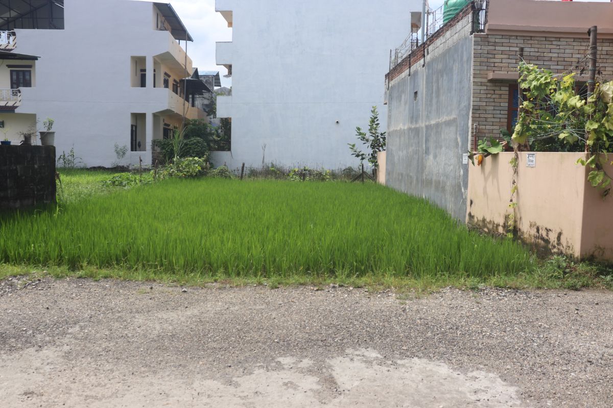 jagriti tole bharatpur11 ghaderi