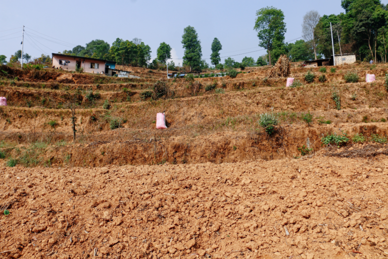 kavre banepa bhaisepati jagga bikri 768x512