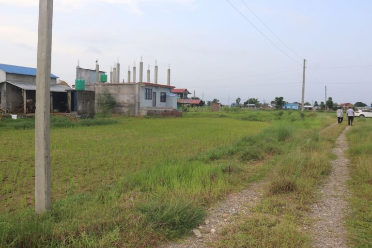 land bikri dhanauji chitwan 768x512