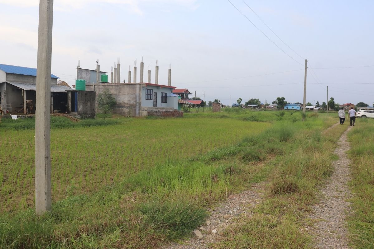 land bikri dhanauji chitwan