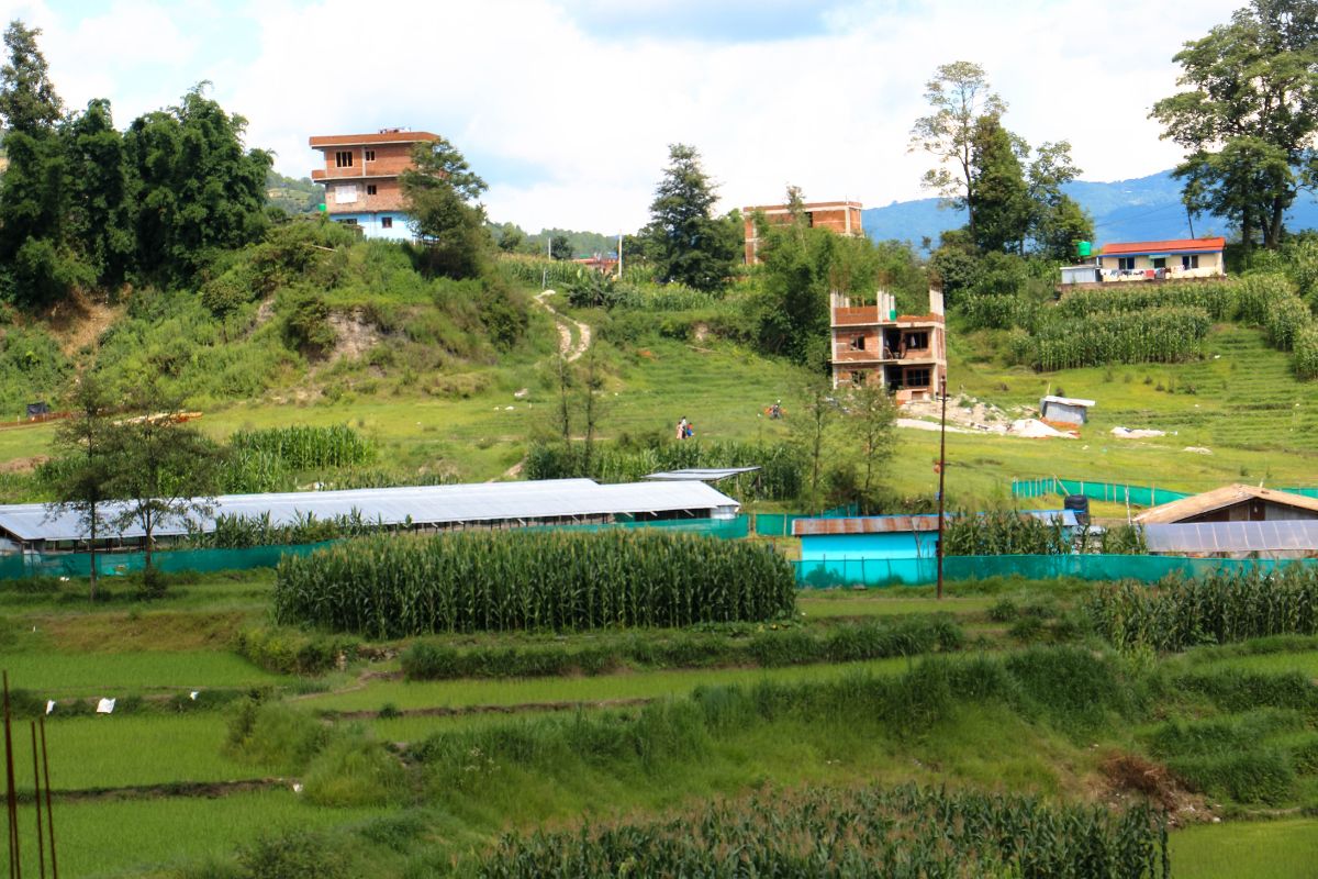 land for sale aalapot bhorletar