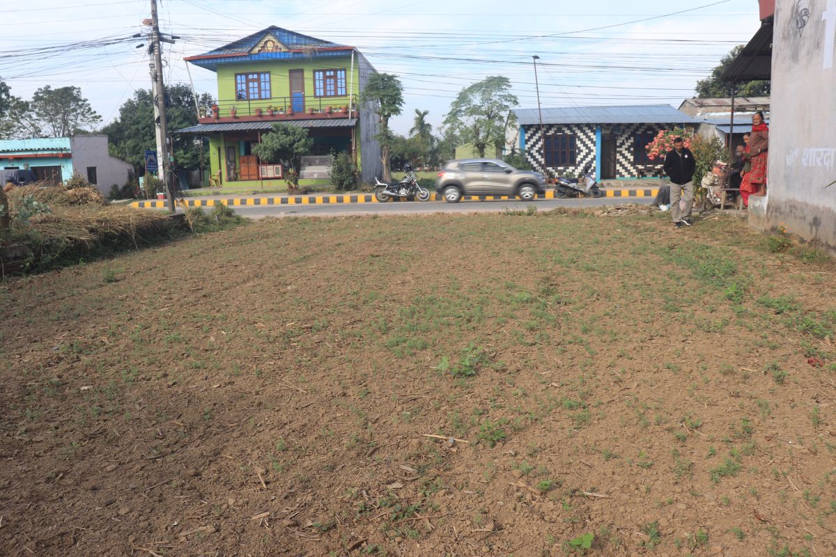 land for sale bishal tole laurighol