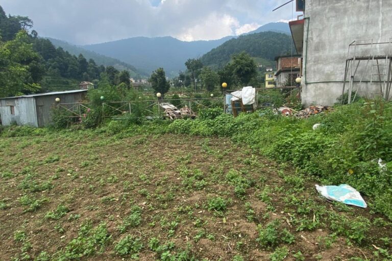 land for sale chitlang 768x512