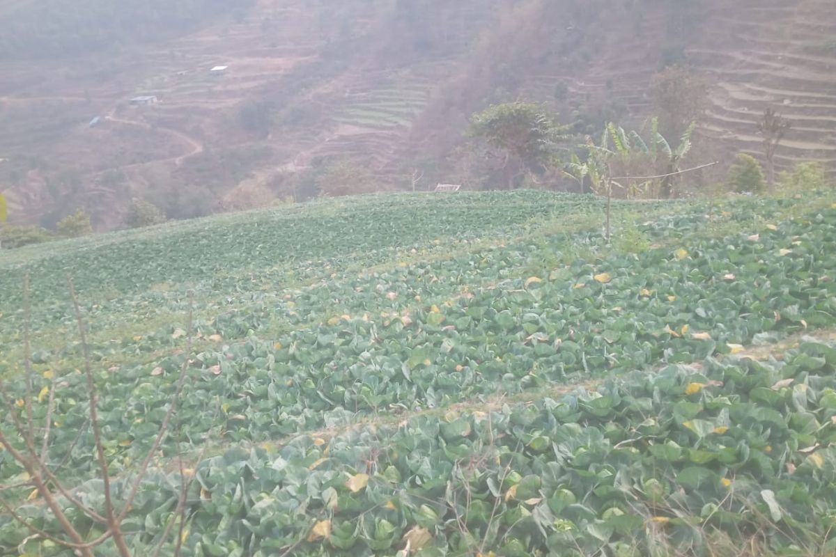 land for sale dhading naang fakfuk